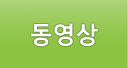동영상